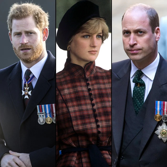 Príncipe Harry acha que a falecida mãe princesa Diana seria'Sad' Over Rift With Prince William: I Feel Her 'Presence'