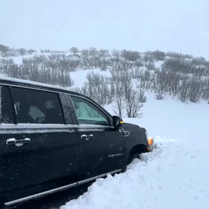 Meredith Marks sobrevive a um acidente de carro quase fatal dirigindo em um banco de neve