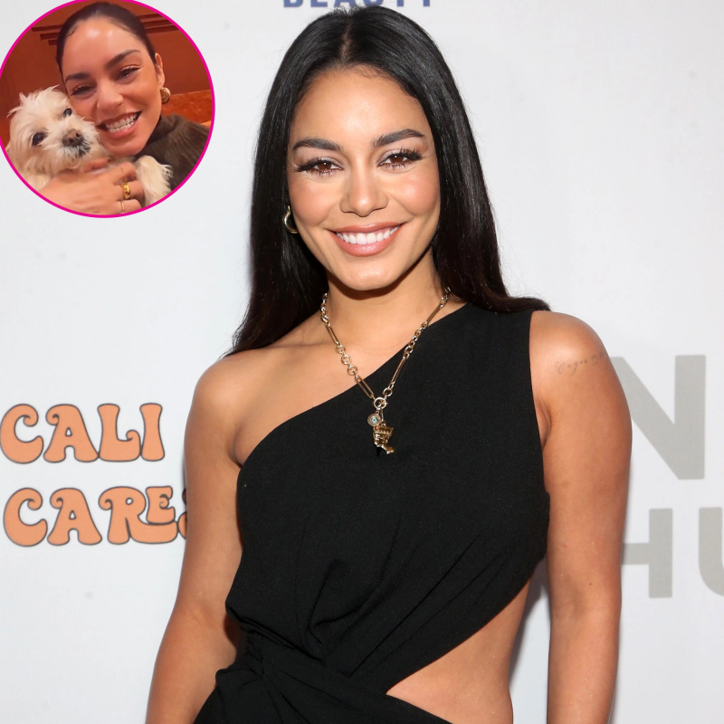   Vanessa Hudgens e mais estrelas compartilham fotos fofas com animais de estimação amados