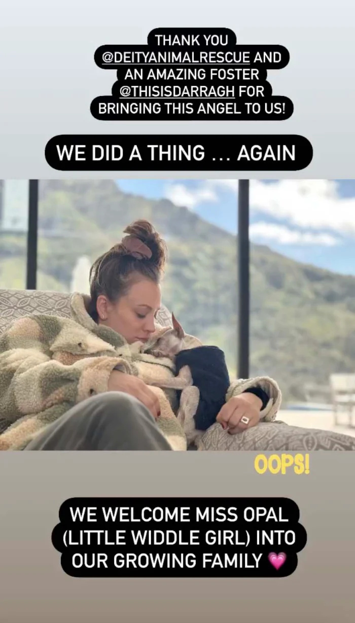 Grávida Kaley Cuoco e Tom Pelphrey dão as boas-vindas ao cão resgatado antes da chegada do bebê