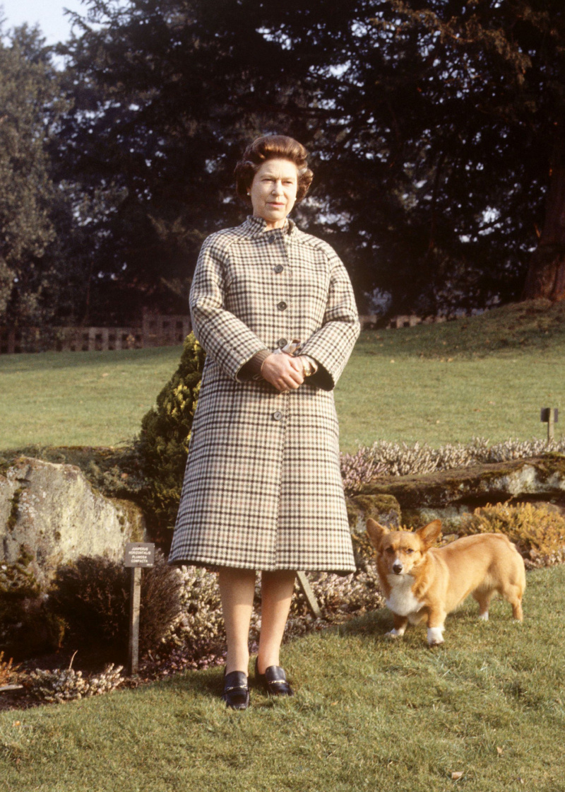 Por dentro da fabulosa vida dos Corgis da rainha Elizabeth II