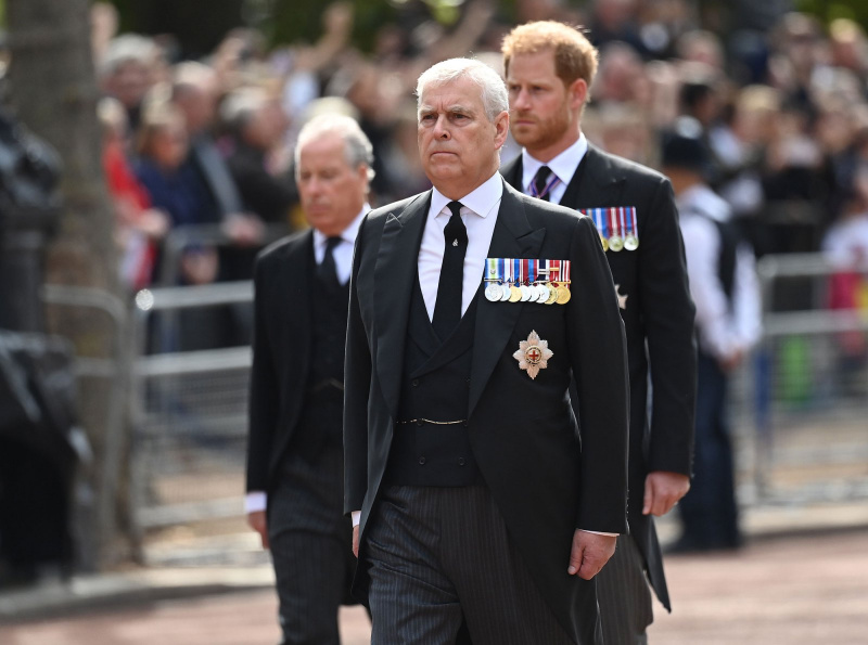  Príncipe Harry e Príncipe Andrew usam ternos matinais em vez de uniformes militares na procissão da rainha Elizabeth II