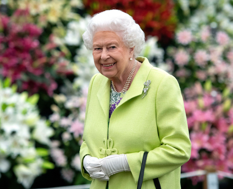 Espectadores reais reagem à aranha vista na rainha Elizabeth II's Casket