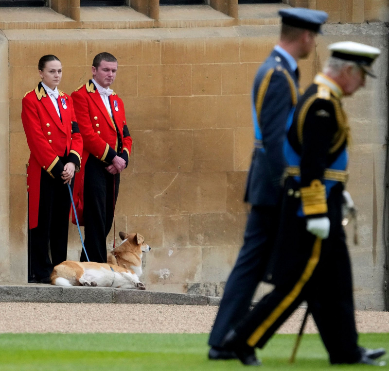 Corgis da rainha Elizabeth II e cavalo de montaria principal estacionados do lado de fora do Castelo de Windsor em meio ao serviço funerário corgis com guardas