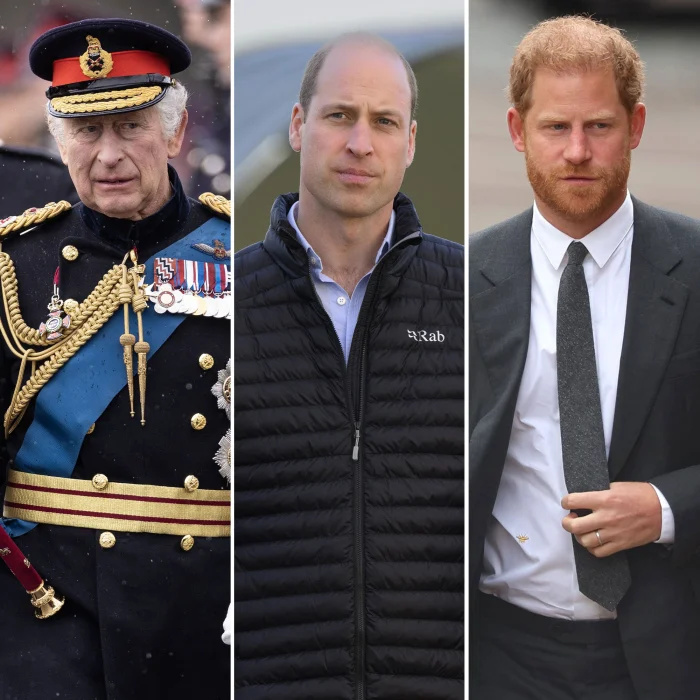 O rei Charles III compartilha seu 'orgulho' nos filhos, príncipe William e príncipe Harry, por seu treinamento militar