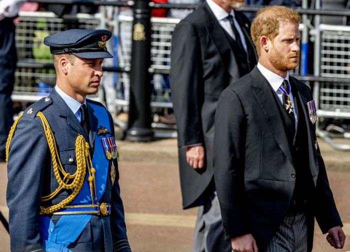 O rei Charles III compartilha seu 'orgulho' nos filhos, príncipe William e príncipe Harry, por seus treinamentos militares