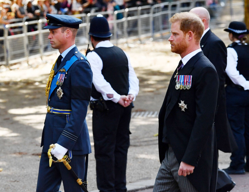 William e Harry caminham atrás do caixão da rainha quase 25 anos depois da princesa Diana's Funeral 9