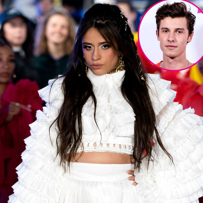   Camila Cabello't Feel 'Pressure' to Date After Shawn Mendes Split