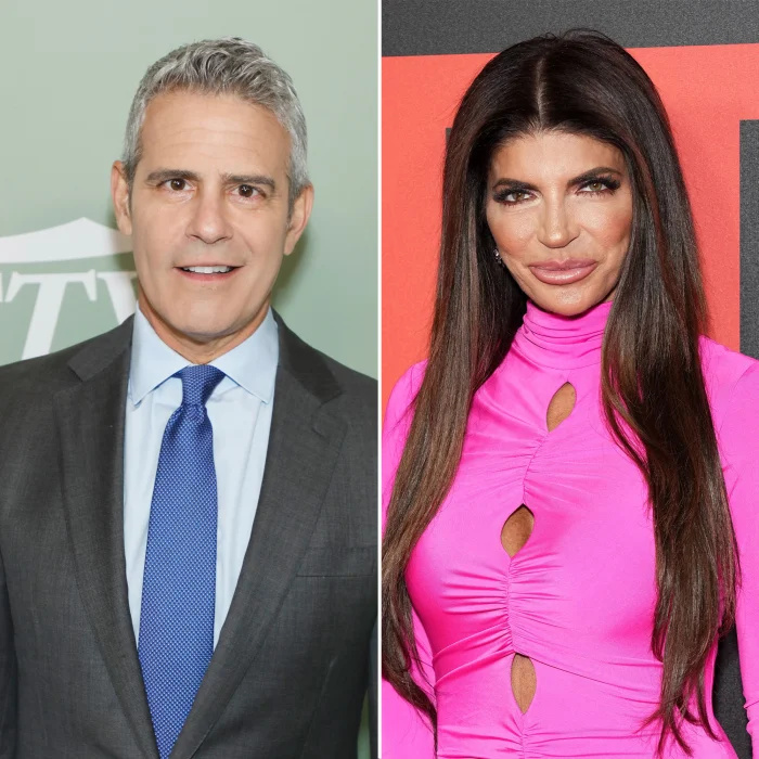   Andy Cohen confessou que perdeu a calma ao falar com Teresa Giudice