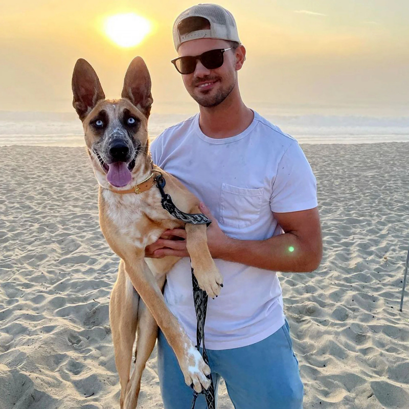 Taylor Lautner e mais galãs de Hollywood passeando com seus cachorros