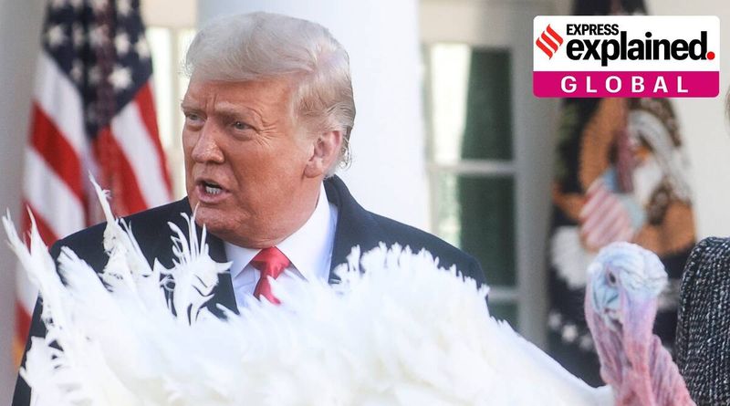 Ação de graças, perdão do peru presidencial dos EUA, História da ação de graças, O que é ação de graças, história da ação de graças, expresso indiano