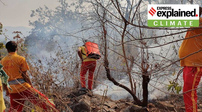 Explicado: por que os incêndios florestais eclodem na primavera e por que eles têm sido tão frequentes este ano