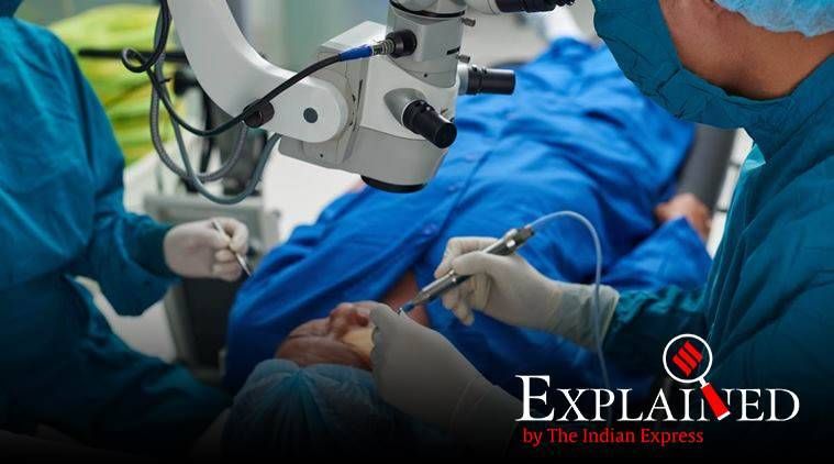 Órgãos suínos no corpo humano: uma velha controvérsia sobre o retorno do transplante