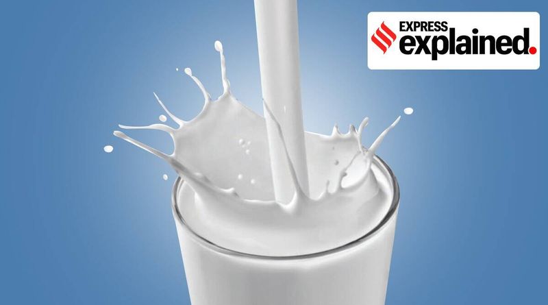 Explicado: Anúncio Amul no leite versus alternativa à base de plantas