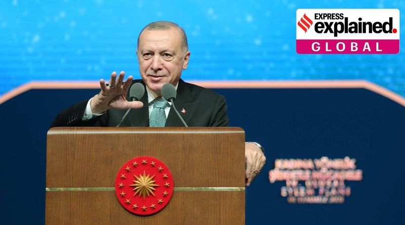 Explicado: Por que Erdogan retirou-se da Convenção de Istambul sobre a violência contra as mulheres