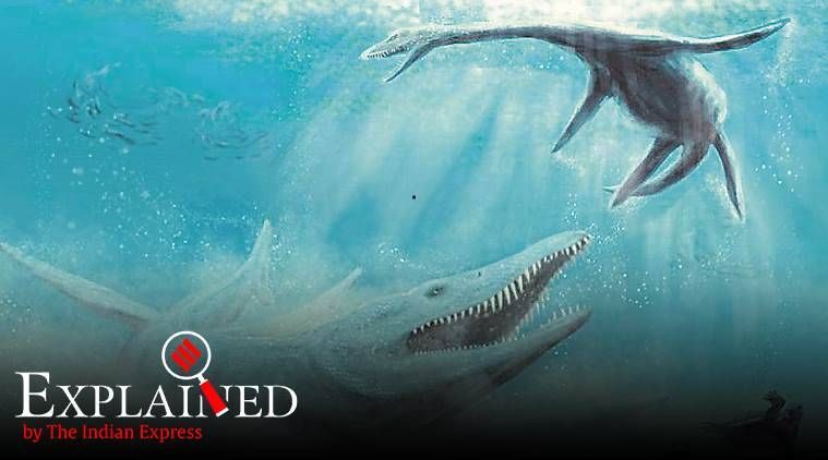 Explicado: O que é Pliosaur?