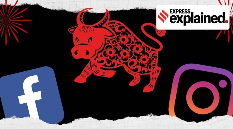 Explicado: Qual é o ano do boi? Como isso se tornou uma tendência global do Instagram?
