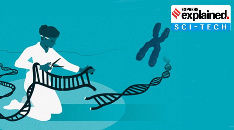 Explicado: O Prêmio Nobel de Química para tesouras para editar genes