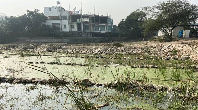 Pântanos artificiais, Pântanos, Yamuna
