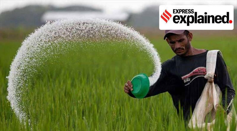Explicado: Como funciona o subsídio de fertilizantes