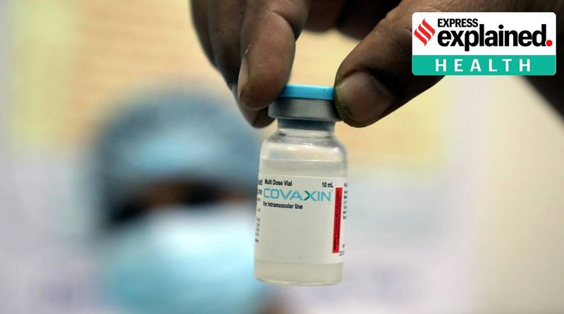 O Covaxin da Bharat Biotech tem cerca de 81% de eficácia: o que isso significa para a Índia?