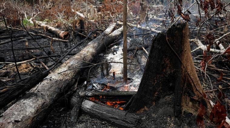 Explicação de incêndios na Amazônia