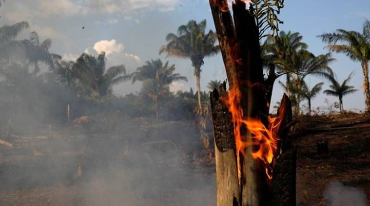 floresta tropical amazônica, incêndios florestais na amazônia brasil, aquecimento global, mudanças climáticas, incêndios florestais recordes na amazônia, jair bolsonaro