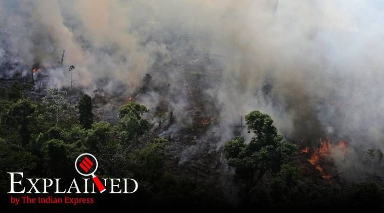 Explicado: Por que os incêndios na Amazon são preocupantes