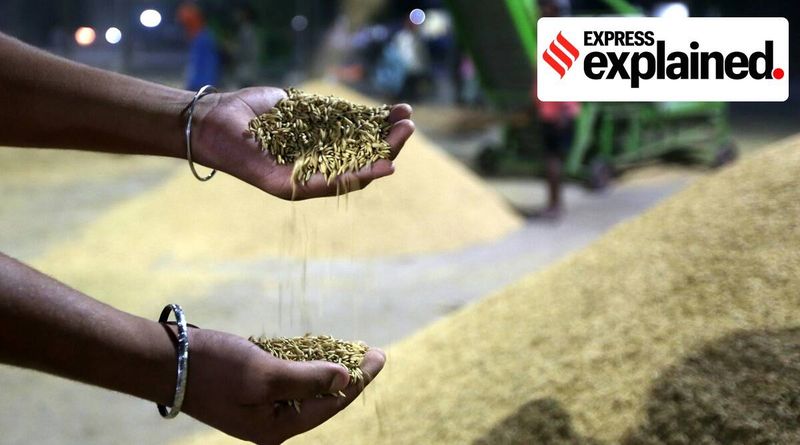 Explicado: como o governo central pode contornar a demanda de MSP e acabar com o impasse com os agricultores