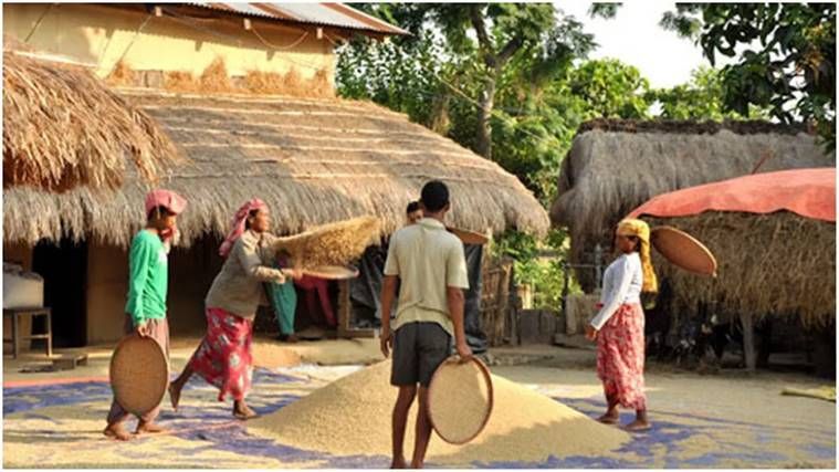 tribais tharu, tribais tharu turismo UP, que são tribais tharu, cultura tribal tharu, locais de turismo UP, destinos incomuns uttar pradesh, expresso explicado, expresso indiano
