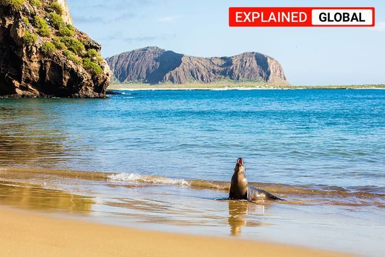 Explicado: Por que o Equador ficou irritado com uma flotilha chinesa perto de suas águas