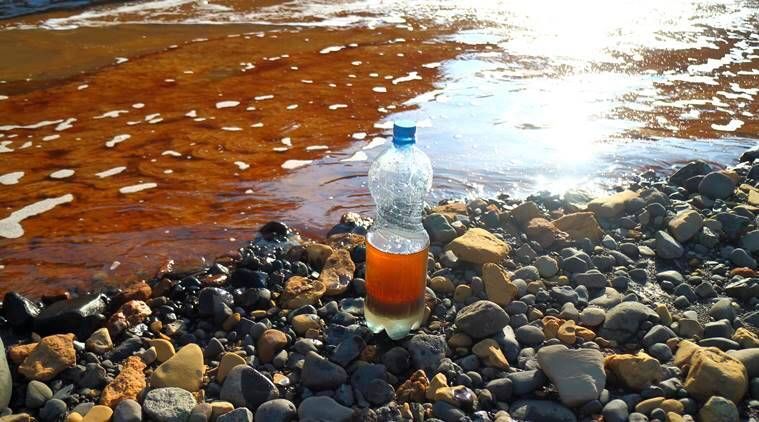 Vazamento de petróleo na Rússia: o que é permafrost e por que seu degelo representa um risco para o mundo?
