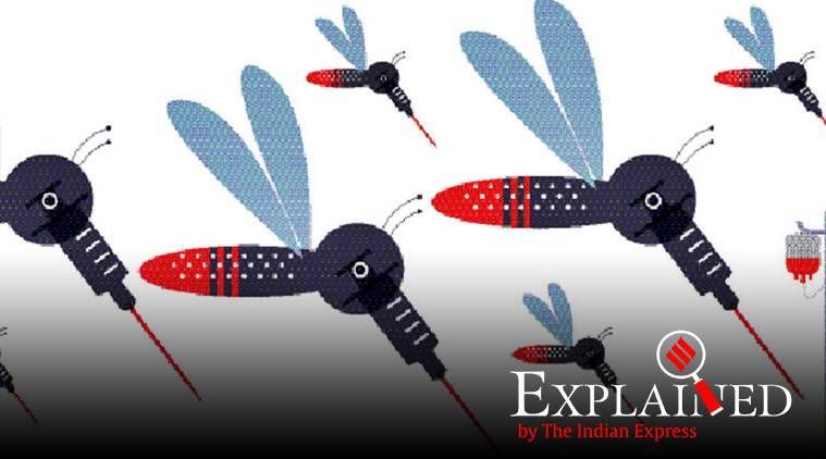 Explicado: O que é o vírus Yada Yada?