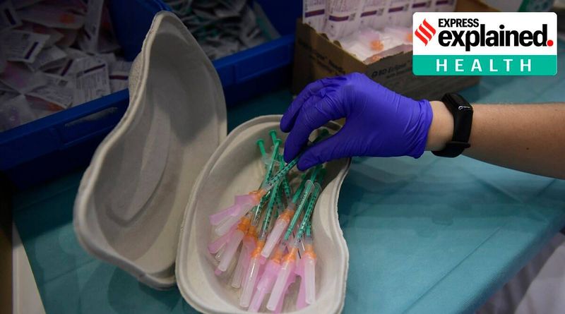 Nova pesquisa: vacinas candidatas sem geladeira feitas de plantas e bactérias