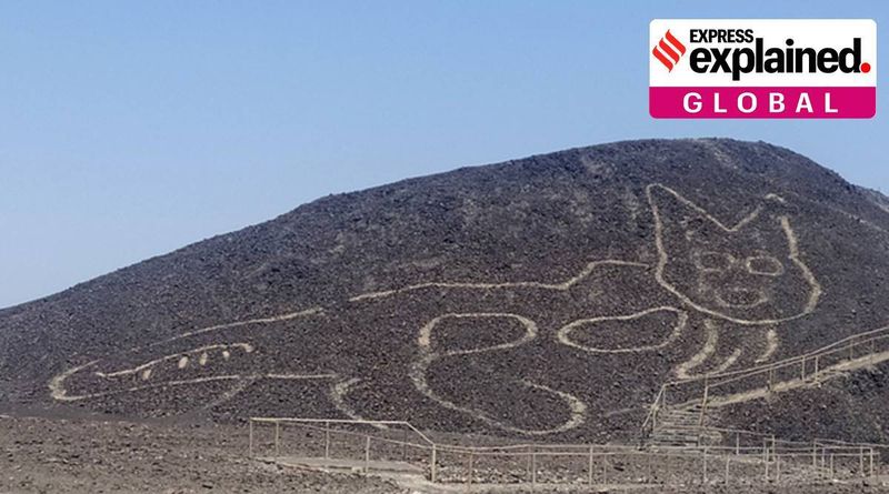 Explicado: O que é o desenho do gato gigante em um Patrimônio Mundial da UNESCO no Peru?