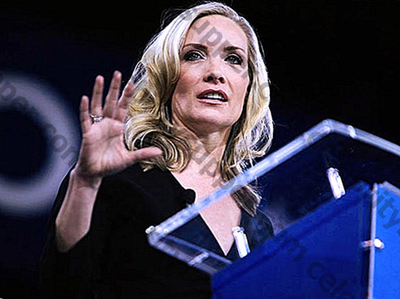 Fortuna de Dana Perino.