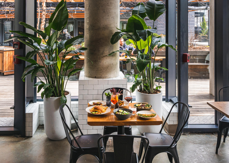 ilha-co-restaurante-nyc