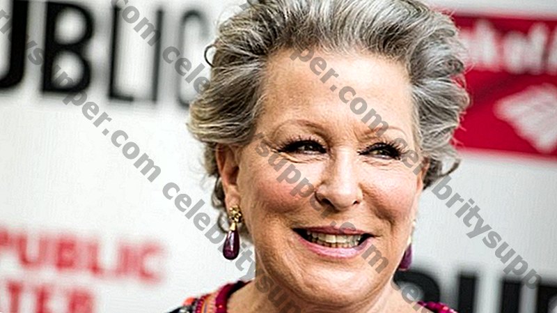 Bette Midler lista seu pródigo trigêmeo no Upper East Side por US $ 50 milhões: aqui está o visual interno !!