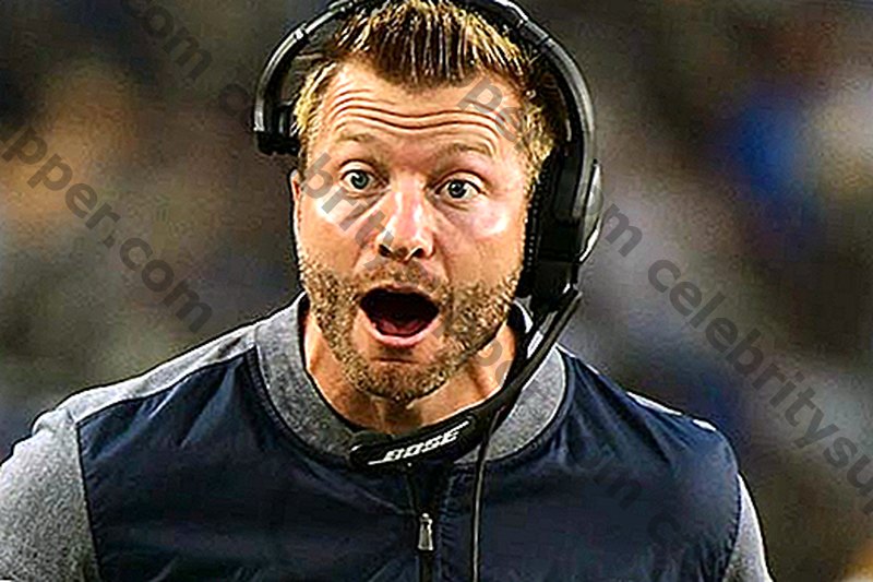 Salário de Sean Mcvay, patrimônio líquido.