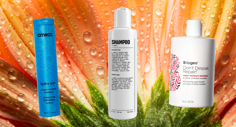 22 melhores shampoos e condicionadores para cabelos secos