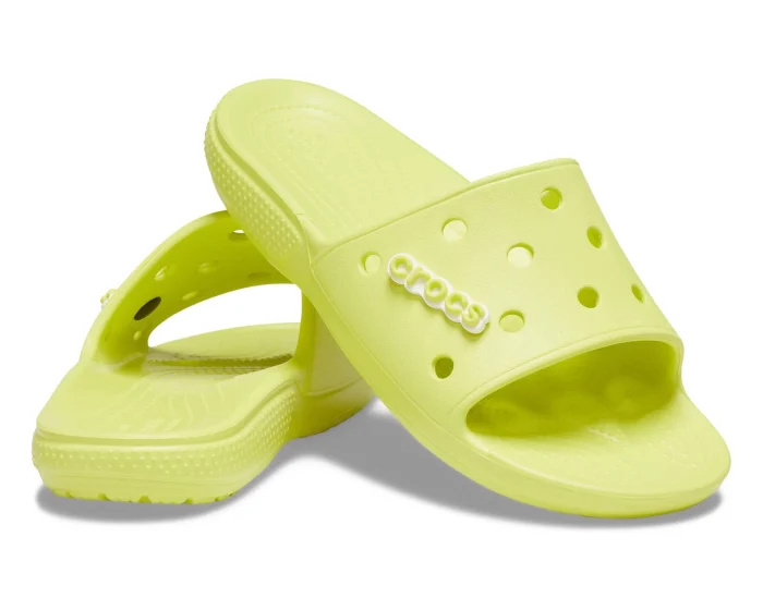   slides crocodilos