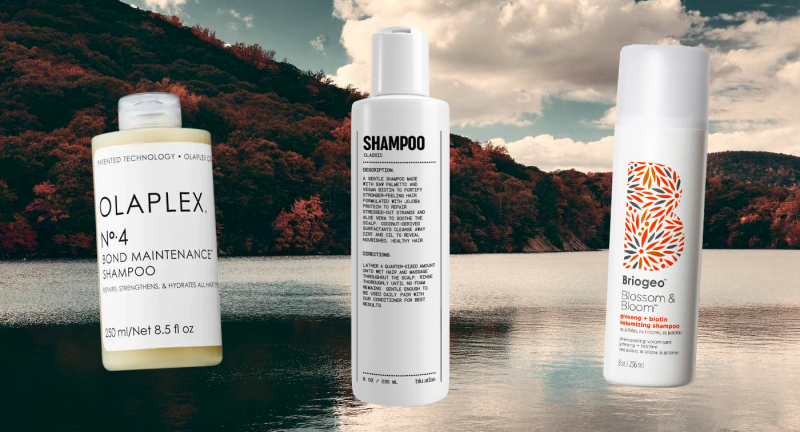 25 melhores shampoos para cada tipo de cabelo