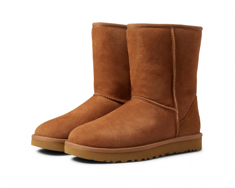 Botas Ugg