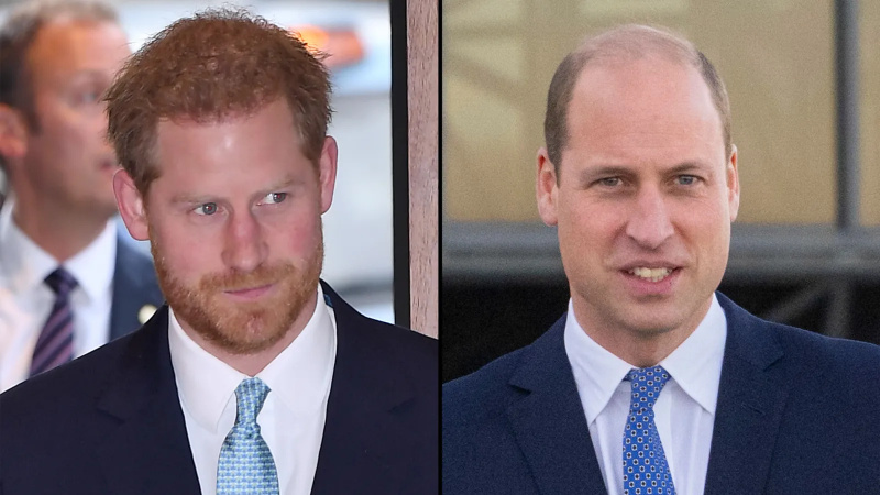  Príncipe Harry defende comentário sobre a calvície do príncipe William: 'Não vejo isso como corte'