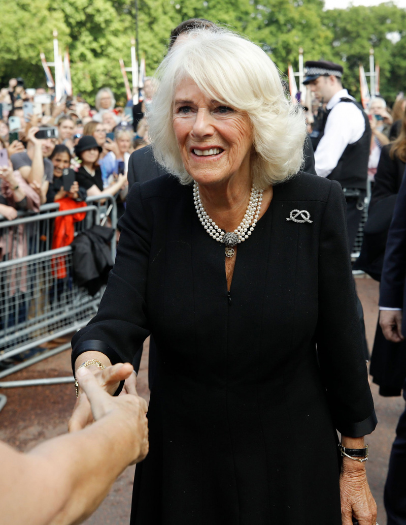 Camilla usa broche simbólico após rainha's Death